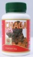 Shelf fungus (Chaga)’s extract